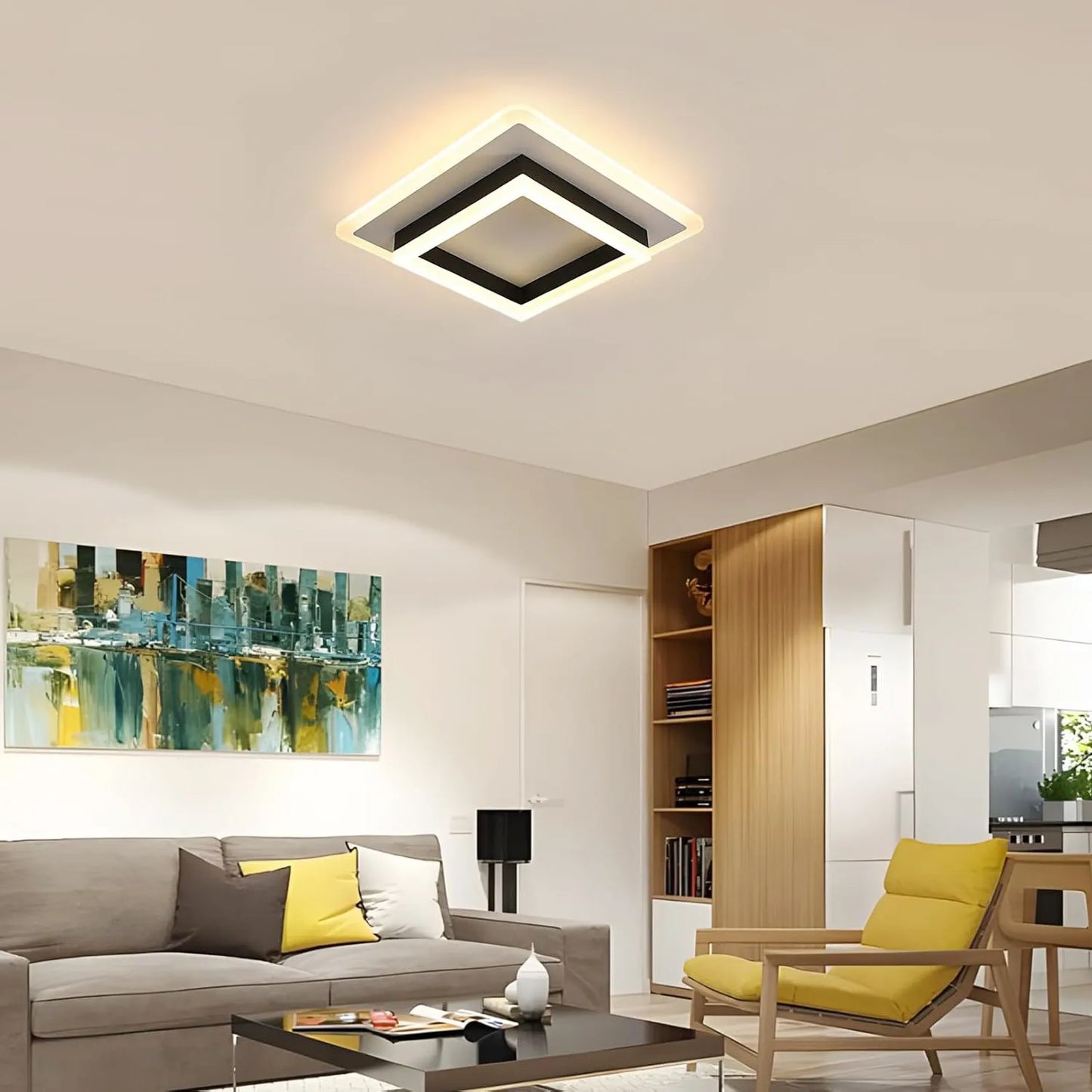 Light Modern Ceiling Lamps,30W LED
